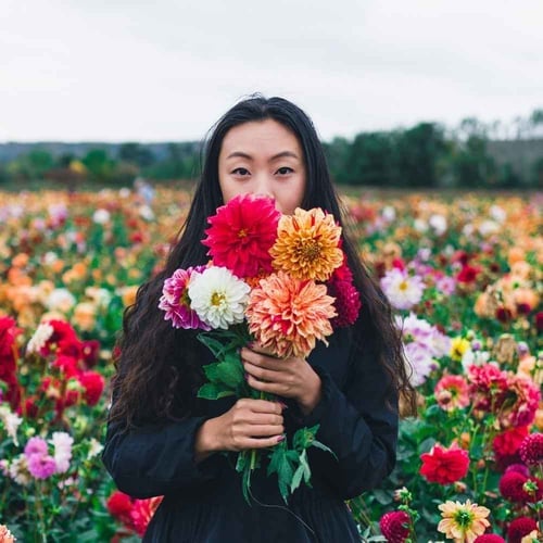 Asian American and Pacific Islander Heritage Month