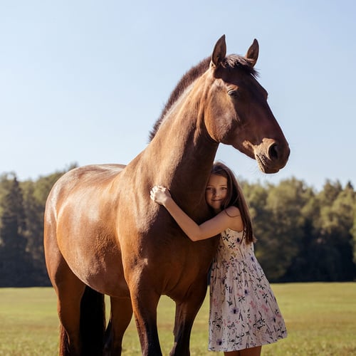 Celebration of the Horse Day