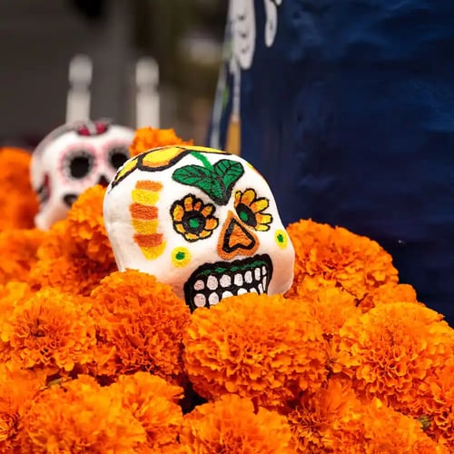 Day of the Dead