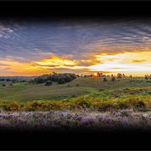 Discover National Parks Fortnight