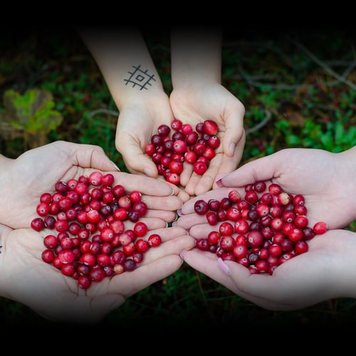 Eat A Cranberry Day