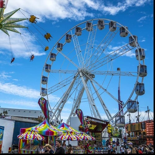 Ekka People’s Day