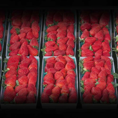 Fabulous Florida Strawberry Month