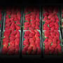 Fabulous Florida Strawberry Month