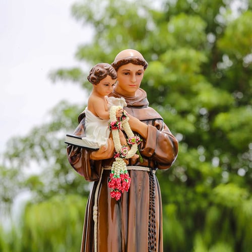 Feast of St. Anthony