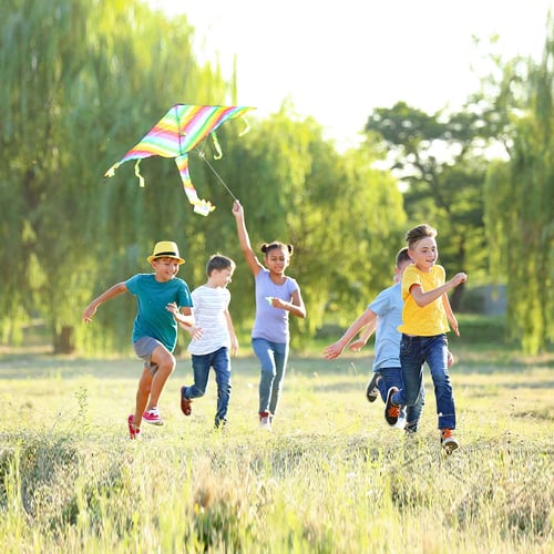 Go Fly a Kite Day