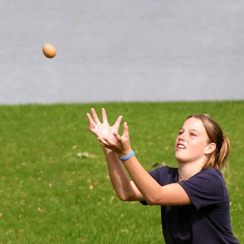 Great Egg Toss Day