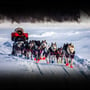 Iditarod Race