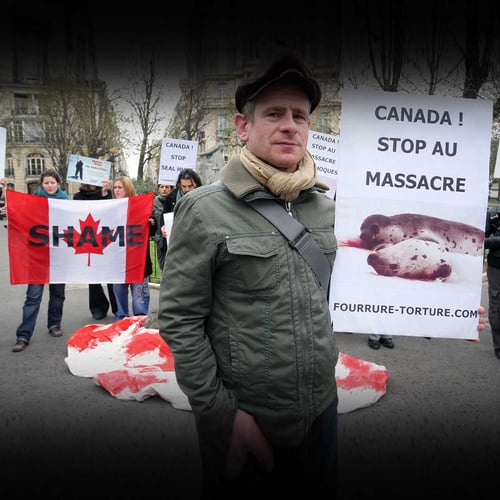 International Day of Action Against Canadian Seal Slaughter