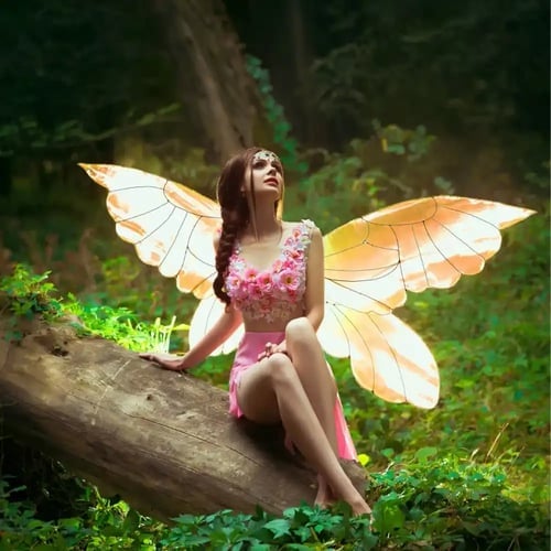 International Fairy Day