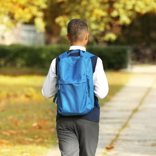 International Walk To School Month