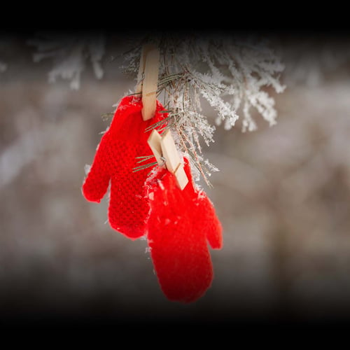 Mitten Tree Day