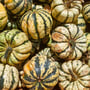 National Acorn Squash Day