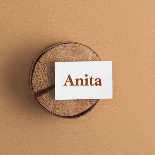 National Anita Day