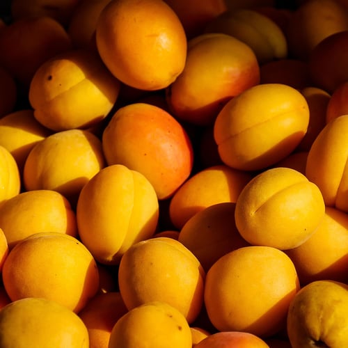 National Apricot Day