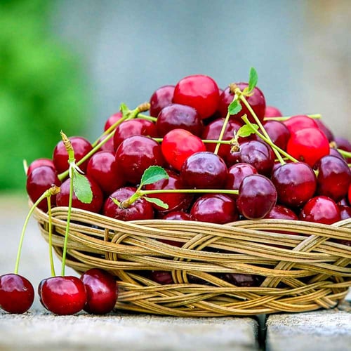 National Cherry Day