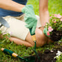 National Gardening Exercise Day