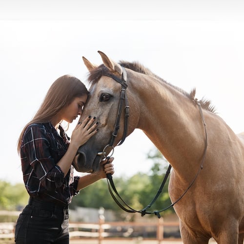 National Horse Protection Day