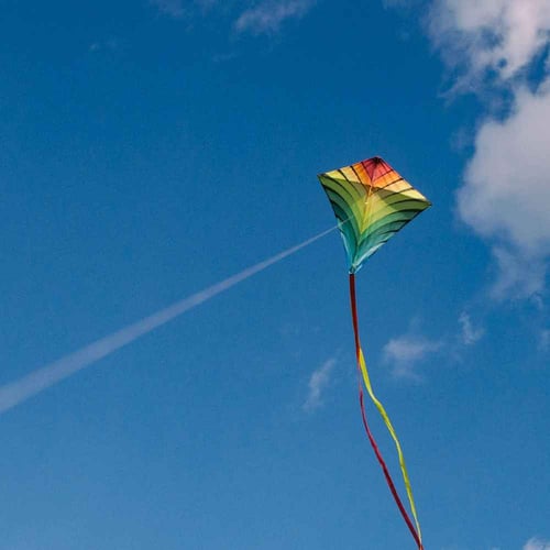 National Kite-Flying Day