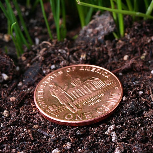 National Lost Penny Day