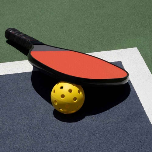 National Pickleball Day