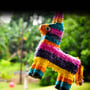 National Piñata Day