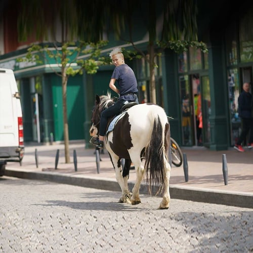 National Ride Your Horse to a Bar Day