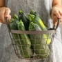 National Sneak Some Zucchini Onto Your Neighbor’s Porch Day