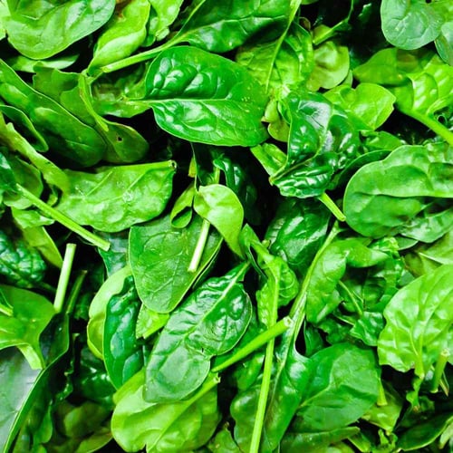 National Spinach Day