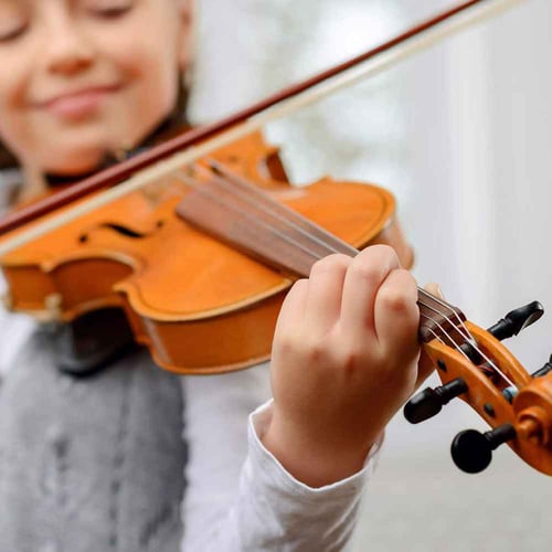 ​National Violin Day