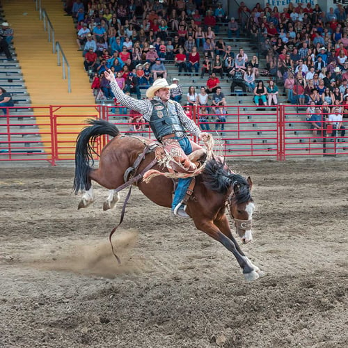 North Dakota Winter Show