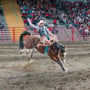 North Dakota Winter Show