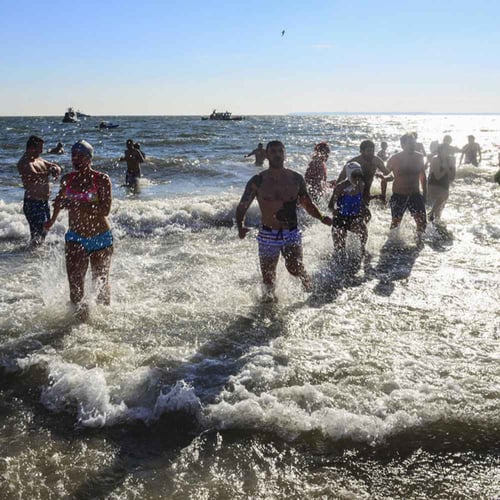 Polar Bear Plunge Day