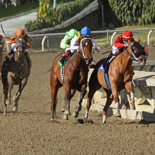 Preakness Stakes