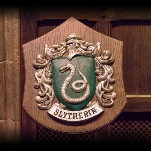 Slytherin Pride Day