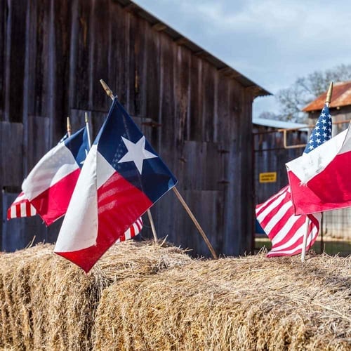 Texas Independence Day