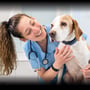 Vet Nurse Day