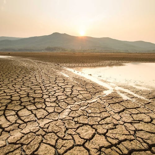 World Day to Combat Desertification and Drought