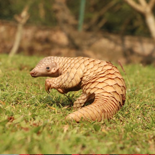 World Pangolin Day