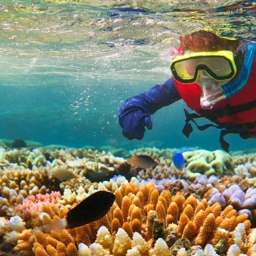 World Reef Awareness Day