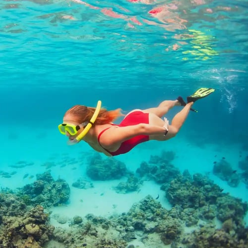 World Snorkeling Day