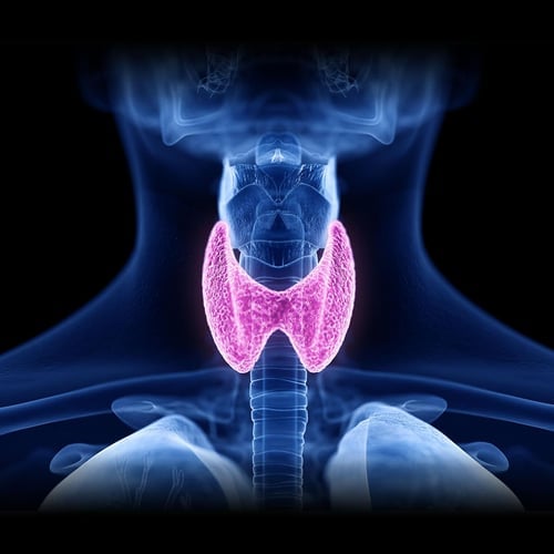 World Thyroid Day